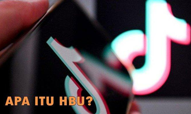 Arti HBU di TikTok, Begini Penjelasan Lengkapnya